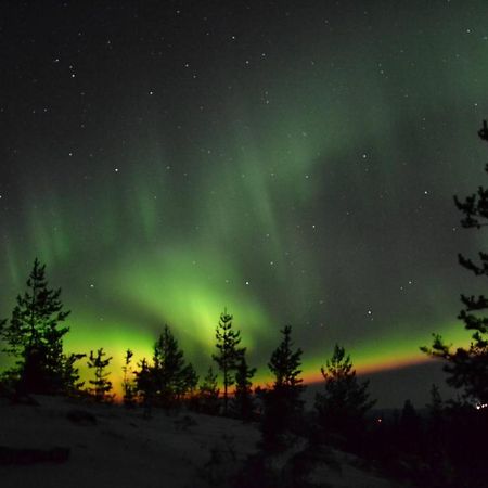 Lagomhuset - A Peaceful Holiday In Swedish Lapland Vidsel Buitenkant foto