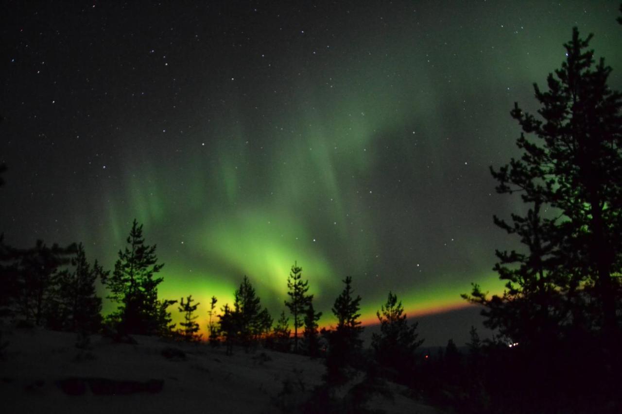 Lagomhuset - A Peaceful Holiday In Swedish Lapland Vidsel Buitenkant foto