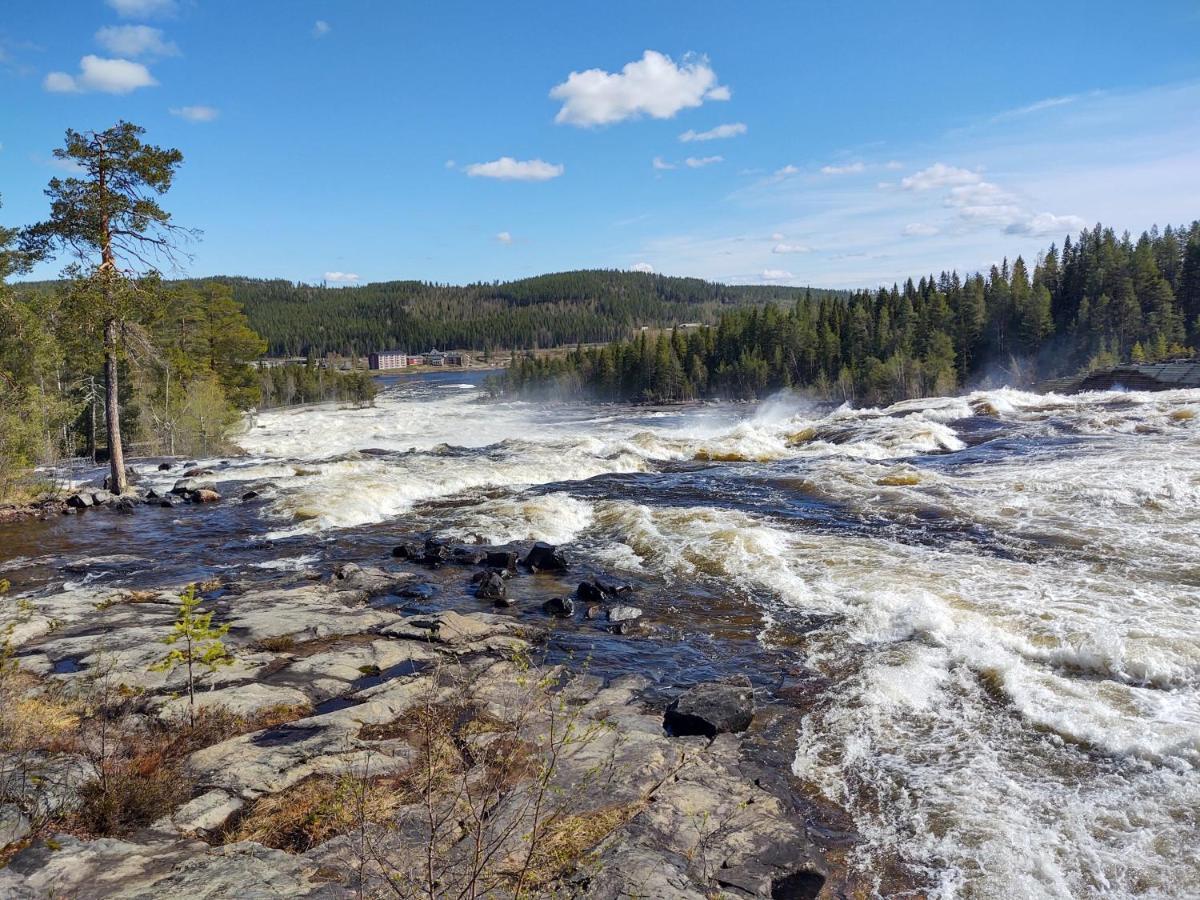 Lagomhuset - A Peaceful Holiday In Swedish Lapland Vidsel Buitenkant foto
