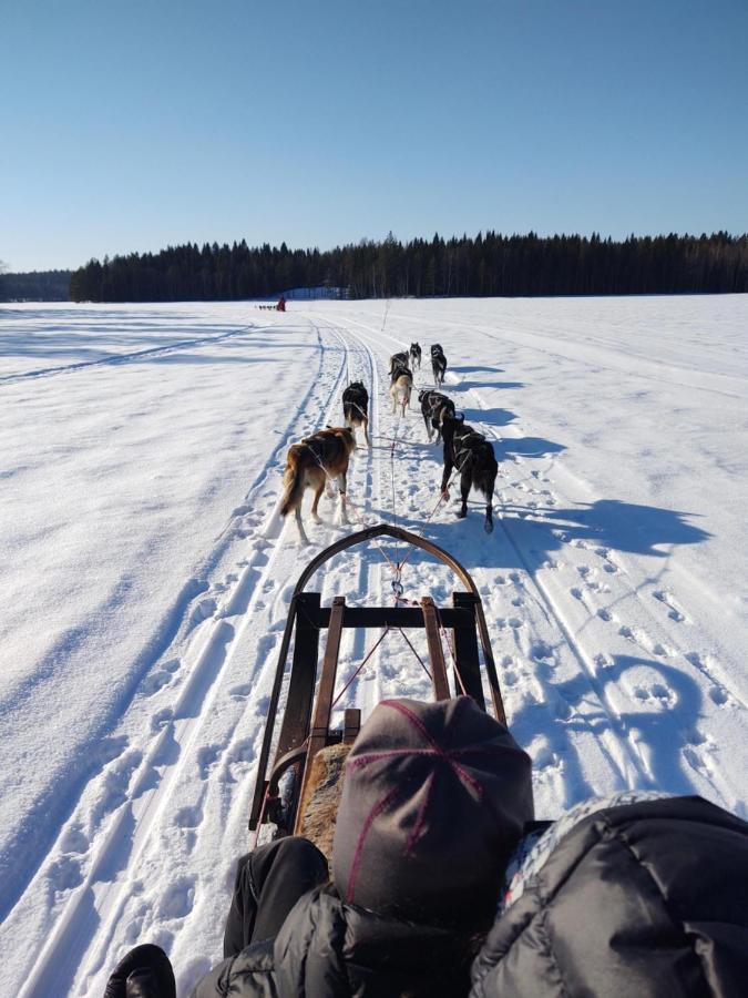 Lagomhuset - A Peaceful Holiday In Swedish Lapland Vidsel Buitenkant foto